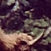 Bhoutan - Yak